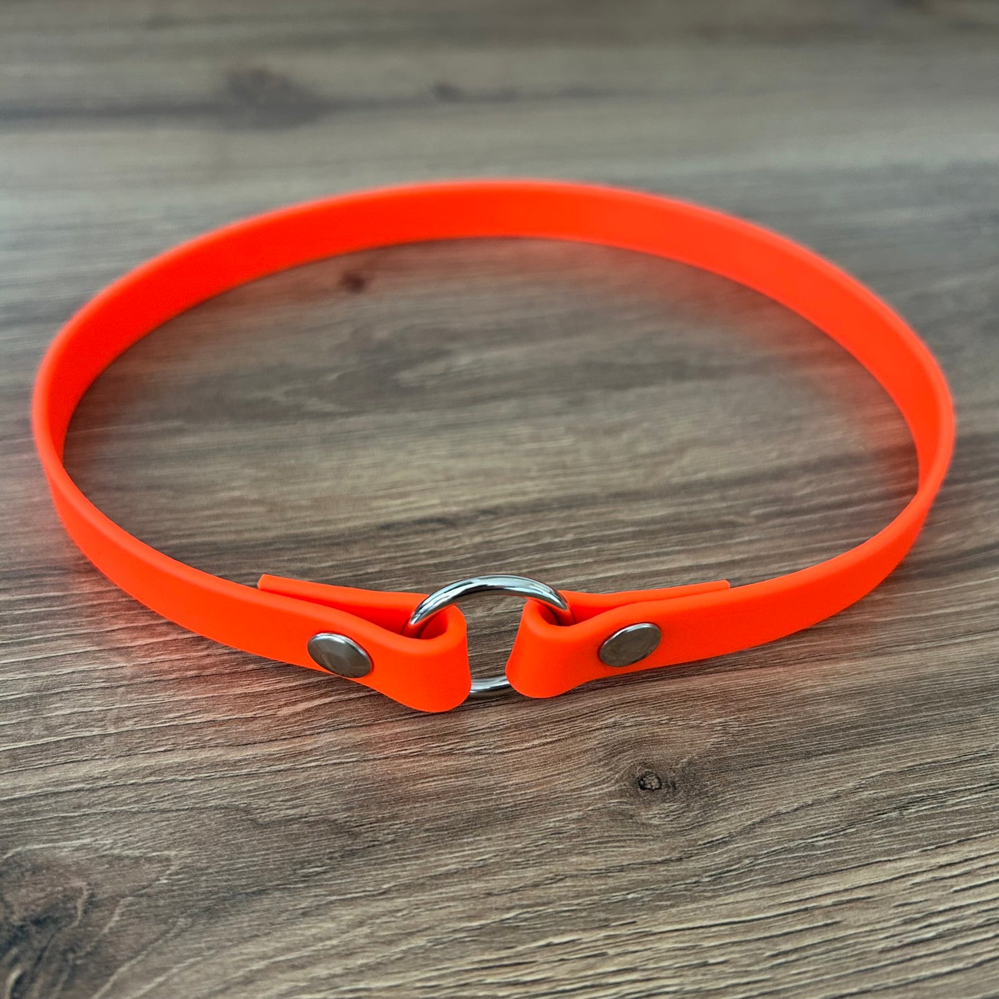 Biothane ID Rope Collar