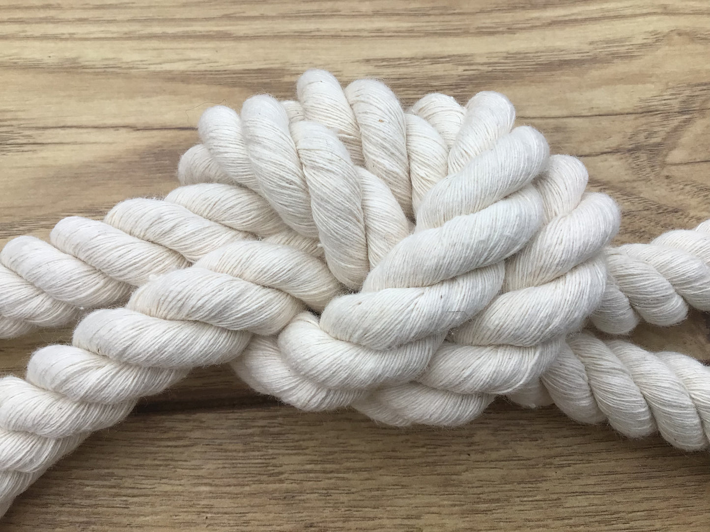 Chunky Tug Rope Dog Toy