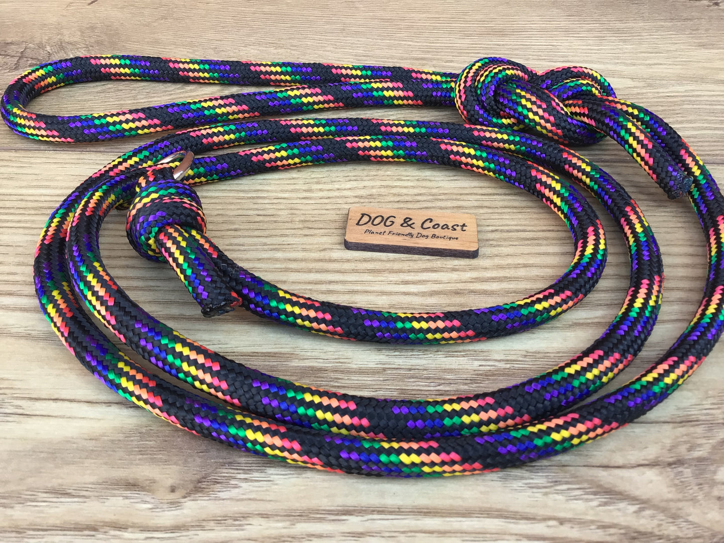 Rainbow Rope Slip Lead