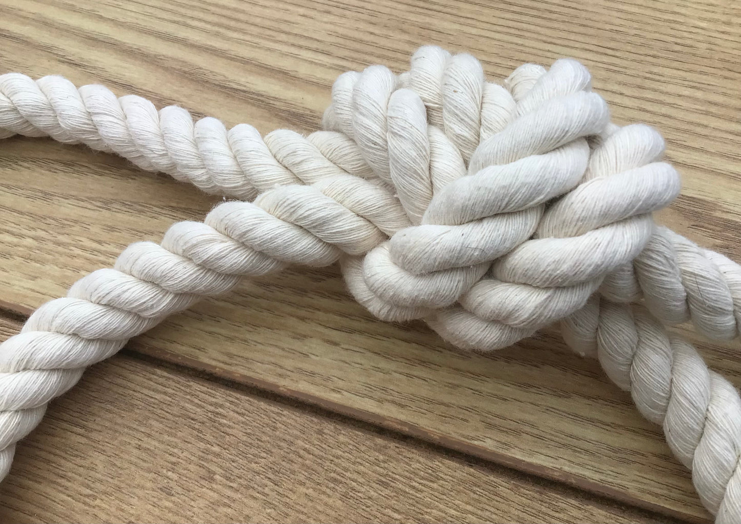 Chunky Tug Rope Dog Toy