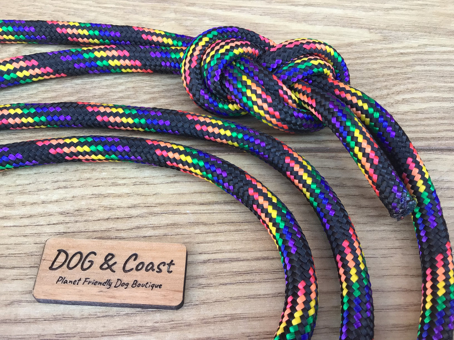 Rainbow Rope Slip Lead